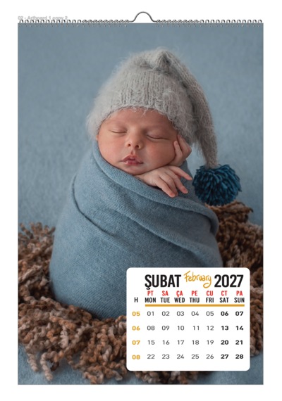 2027 Bebek Duvar Takvimi 33x48 Cm 12 Sayfa Üstten Spiralli Diğer