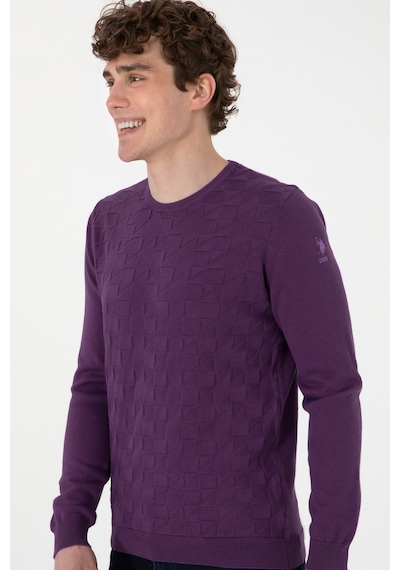 U.S. Polo Assn. Erkek Mor Basic Kazak