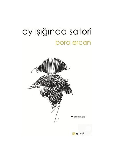 Ay Işığında Satori / Bora Ercan