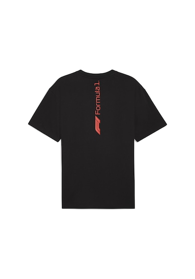 Puma F1 Ess+ Graphic Tee -relaxed Erkek Tişört SIYAH