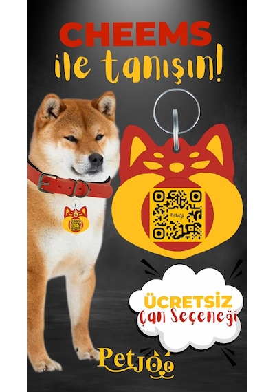 Petjoo 18.Cheems Sarı-Kırmızı Qr'lı Köpek Künyesi