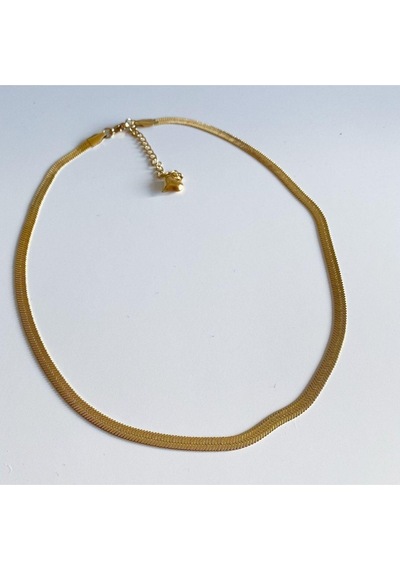 Çelik Italyan Zincir Gold