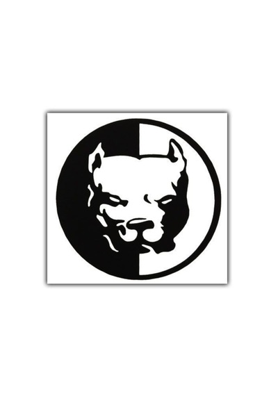 Kızgın Pibull Araba Sticker Yapıştırma