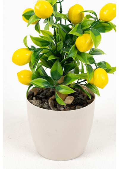 Yapay Çiçekçiniz Beyaz Plastik Saksıda Bambu Gövdeli Yapay Mandalina Ağacı 25 Cm Limon