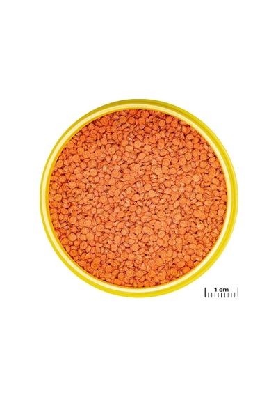 500 Gram Jbl Pro Novo Bits Grano M Granül Balık Yemi