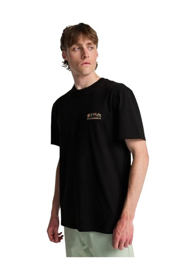 Billabong Bıllabong Segment Ss Erkek Tişört Ebyzt00509 Siyah