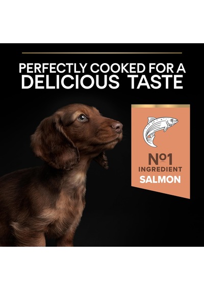 Pro Plan Small & Mini Adult Somonlu Köpek Maması 3 Kg 100 G