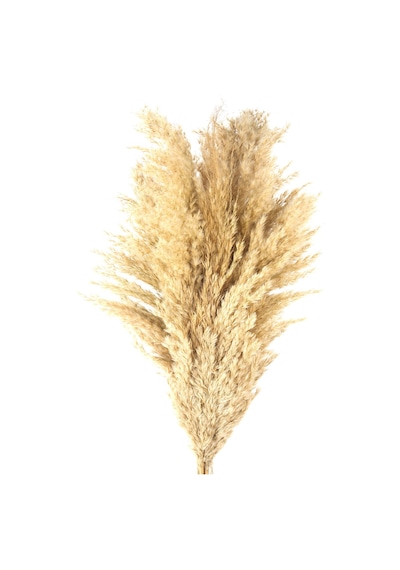 Deco Pampas Yapay Çiçek - Bej - 90x20 Cm Çok Renkli