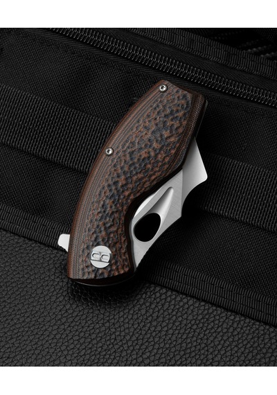Bestech Lizard G10 Sap D2 Çelik Kamp Kamp Çakı Bg39a Turuncu - Siyah