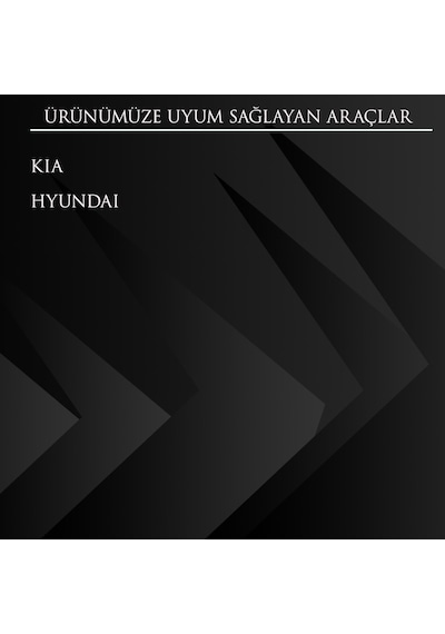 Kia, Hyundai için Sunroof Tamir Kiti