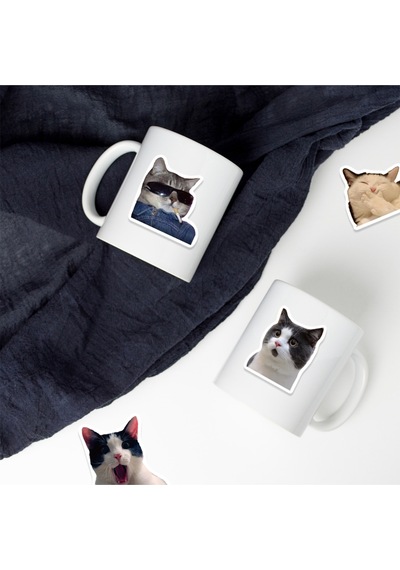 Çılgın Cats Sticker Seti Laptop Ajanda Notebook Tablet Telefon Defter Etiket Bullet Journal Diğer