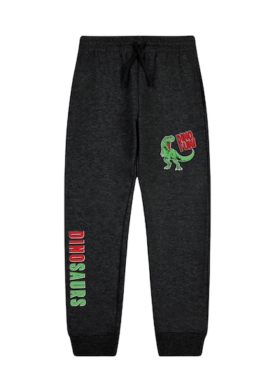 Panios Kids Dino Fun Baskılı Çift Cepli Erkek Çocuk Jogger Eşofman Altı Füme