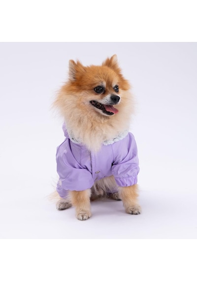 Pettrend Köpek Lila Kürklü Tulum Küçük Irk Köpek Yağmurluğu