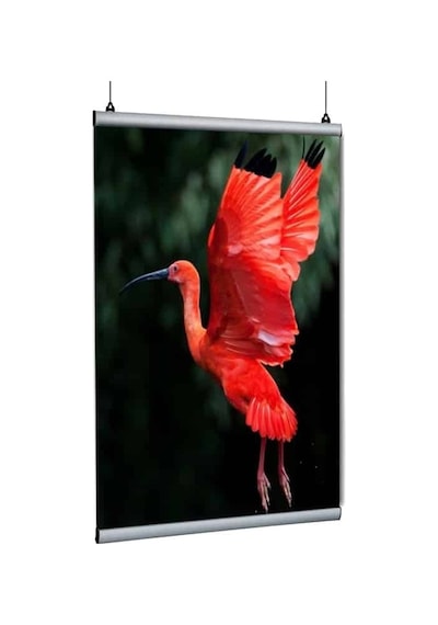 Poster Tutucu Clamp 42cm 5li Paket