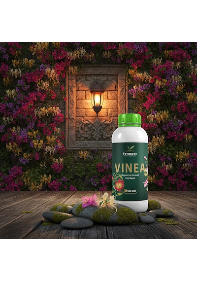 Vinea İkili 500 Ml 2 Adet Dış Mekan Süs Bitkisi Besini - Begonvil Ve Hanımeli İçin Hızlı Büyüme 500 ML