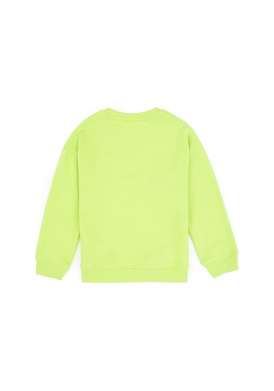 U.S. Polo Assn. Erkek Çocuk Yeşil Bisiklet Yaka Basic Sweatshirt 50313829-VR020