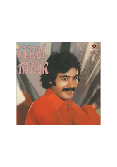 Ferdi Tayfur - Postacılar Plak 33 Devir