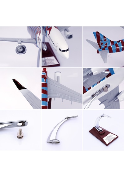 Zekupp Boeing 737-800 Bordo Mavi Taraftar Özel Tasarımlı 1/100