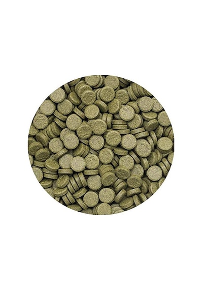 Ayrex Tropical 3 Algae Tablets A 100 Adet Kovadan Bölme