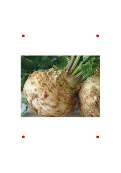 Kök Kereviz Tohumu - 10 Gram