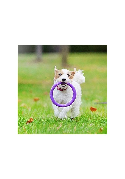 İnteraktif Köpek Oyuncağı 2 Halka Set Eğlenceli Oyun