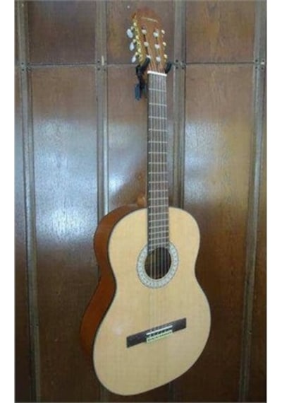 Jameson Jgt Model Gül Ağaç Tam Boy Klasik Gitar-Kılıf