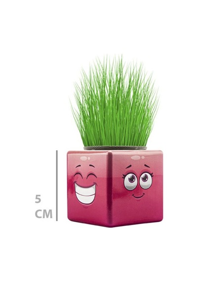 Veraura Lifestyle Çim Adam Mini Küp Emoji Figürlü 1 Adet Sarı