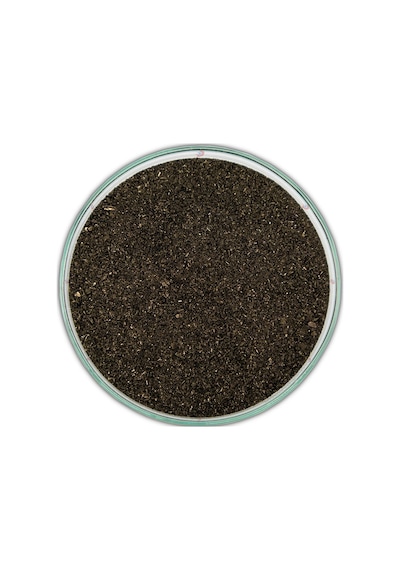 Potasyum Permanganat | 250 Gram