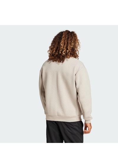 Adidas Terrex Xploric Sweater Erkek Sweatshirt C-adıjd6646e50a00 Bej