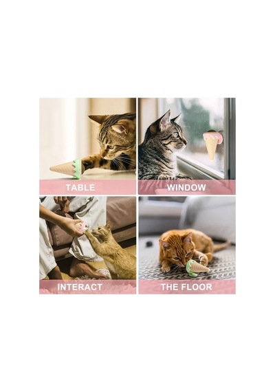 Dondurma Şeklinde Kedi Nanesi Kedi Otu - Pg6240
