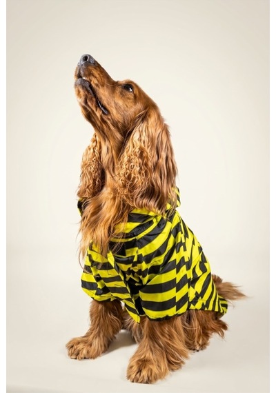 Köpek Yağmurluk, Su İtici Özellikli, Sırt Ve Boyun Tasması Uyumlu, Çıt Çıtlı, İki Kademeli Ayarlanabilir Çok Renkli