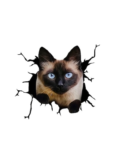 Siyam Kedisi 1 Araba Sticker Yapıştırması 17 Cm