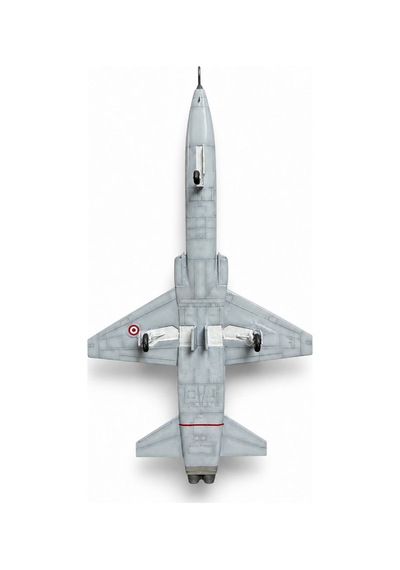 Montajlı + Boyalı F-5b Maket Ucak Gri-siyah
