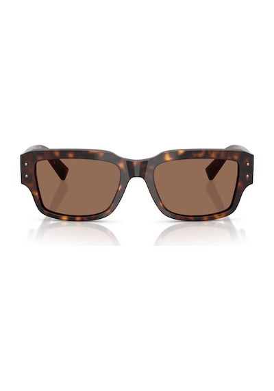 Dolce&gabbana 4483 502/73 54-19 Erkek Güneş Gözlüğü Kahverengi