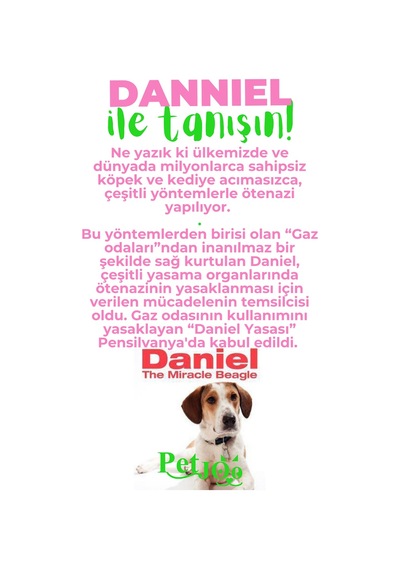 Petjoo 21.Danniel Yeşil-Pembe Qr'lı Köpek Künyesi
