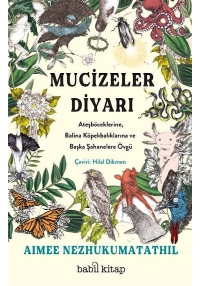 Mucizeler Diyarı - Ateşböceklerine Balina Köpekbalıklarına ve Başka Şahanelere Övgü - Aimee Nezhukumatathil - Babil Kitap