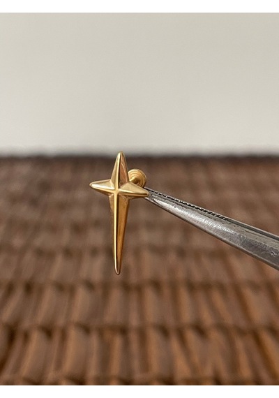 316 L Cerrahi Çelik Kutup Haç Helix Tragus Kıkırdak Conch Piercing Altın