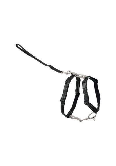 Petsafe The Makers Of The Easy Walk Harness, 3'ü 1 Arada Koşum Kayışı, Tamamen Ayarlanabilir, Çekmez Köpek Koşumu, Orta Boy Siyah Petsafe The Makers Of The Easy Walk Harness, 3'ü 1 Arada Koşum Kayışı, Tamamen Ayarlanabilir, Çekmez Köpek Koşumu, Orta Boy Siyah