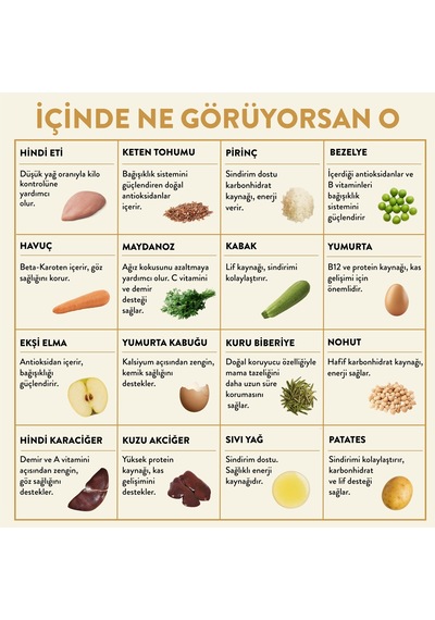 Kito Fresh Hindi Etli Taze Yetişkin Köpek Yemeği 6 x 250 G