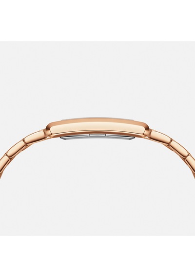 Daniel Wellington Dw00600704 Kadın Kol Saati Diğer