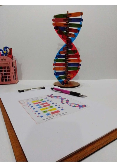 Modeli Eğitici Ahşap Seti 30cm