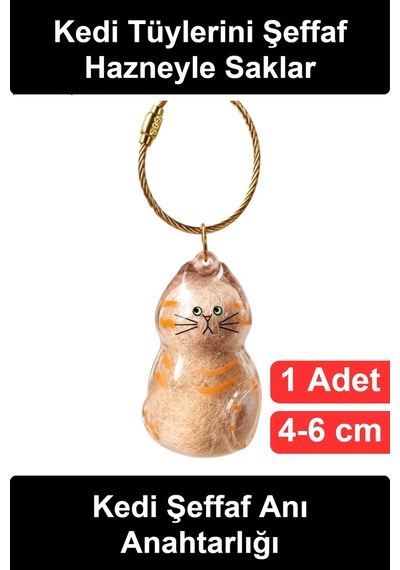 Anıanahtarlığı Kedi Tüyü Saklama Hazneli Şeffaf Figürlü Hatıra Anahtarlık İçi Boş Akrilik Evcil Hay