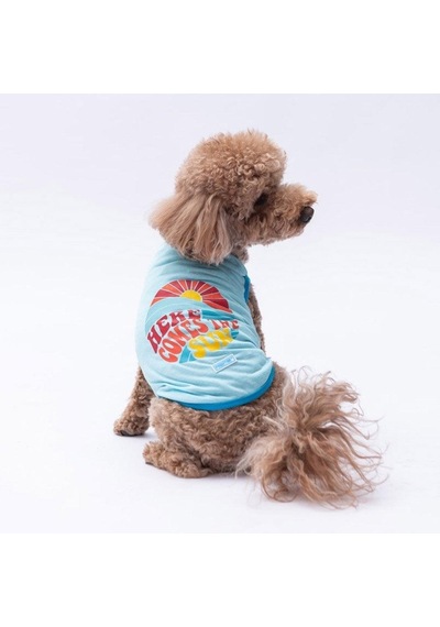 Pawstar Mavi The Sun T-shirt Küçük Irk-20366