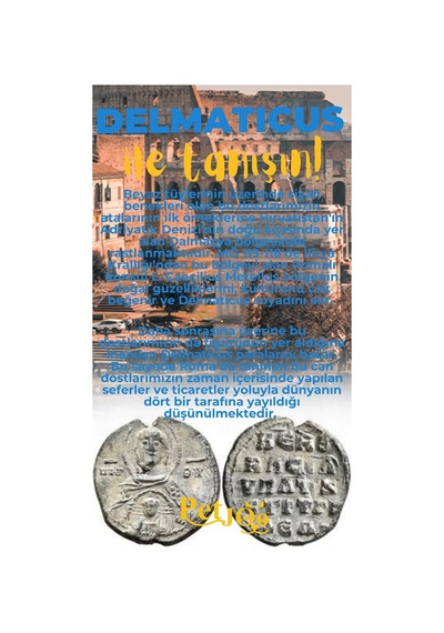 Petjoo 28.Delmaticus Sarı-Mavi Qr'lı Köpek Künyesi