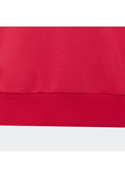 Adidas Seasonals Collegiate Typography Çocuk Pembe Sweatshirt Ks5135