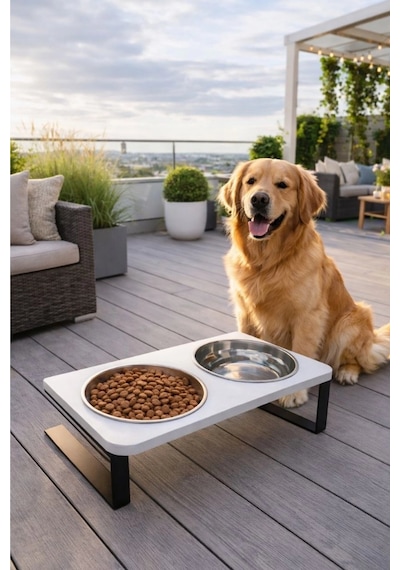 Reyo Ok-ay Store Radessa Xl Yüksek Standlı Çift Hazneli Mama Ve Su Kabı, Büyük Ve Orta Boy Köpek Ve Kedi Su Kabı Paslanmaz Çelik Beyaz