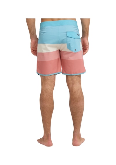 Quiksilver Quıksılver Surfsılk Cargo Mkt6 Çok Renkli