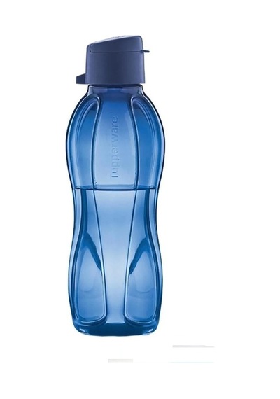 Eco Şişe Suluk 500 Ml Lacivert & Lila 2 Li Lacivert Lila