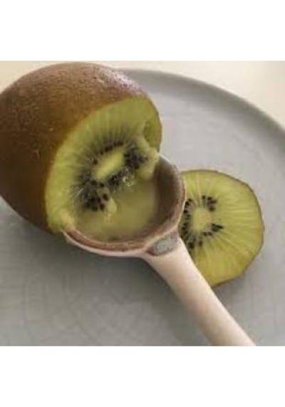 Ithal Nadir Tropikal Sarı Kivi Tohumu Ekim Seti