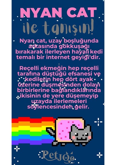 Petjoo 2.Nyan Cat Gri-Pembe Qr'lı Kedi Künyesi